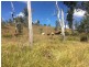 195 Wild Deer Drive, Blackbutt QLD 4306