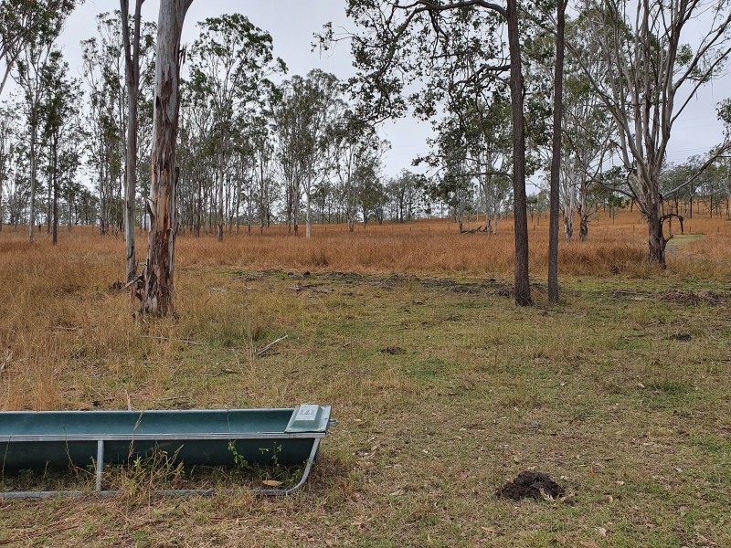 12 McRae Road, Emu Creek QLD 4355