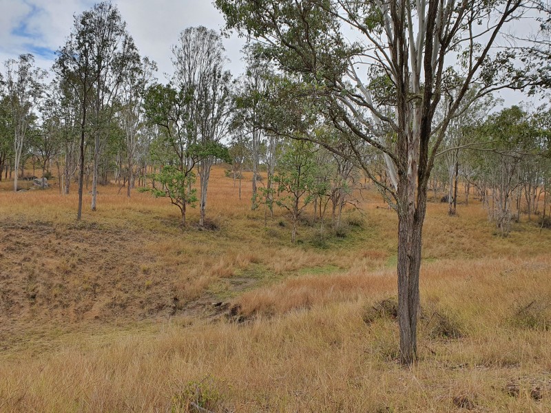 12 McRae Road, Emu Creek QLD 4355