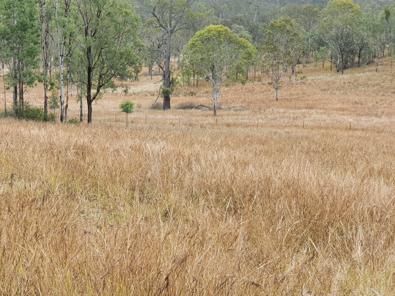 12 McRae Road, Emu Creek QLD 4355