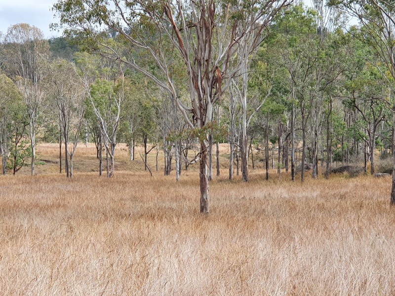 12 McRae Road, Emu Creek QLD 4355