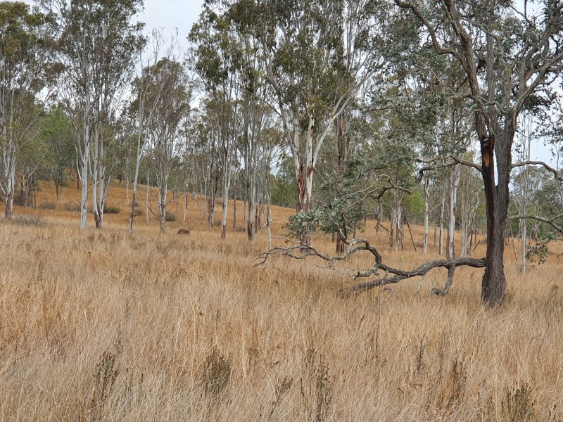 12 McRae Road, Emu Creek QLD 4355