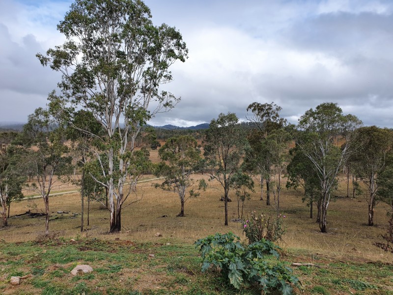 12 McRae Road, Emu Creek QLD 4355