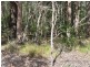 31 McLaughlan Road, Benarkin QLD 4306