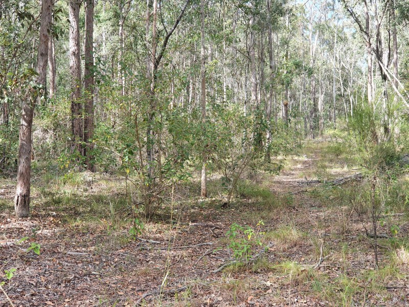 31 McLaughlan Road, Benarkin QLD 4306