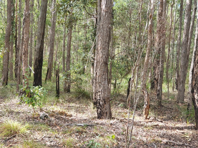 31 McLaughlan Road, Benarkin QLD 4306