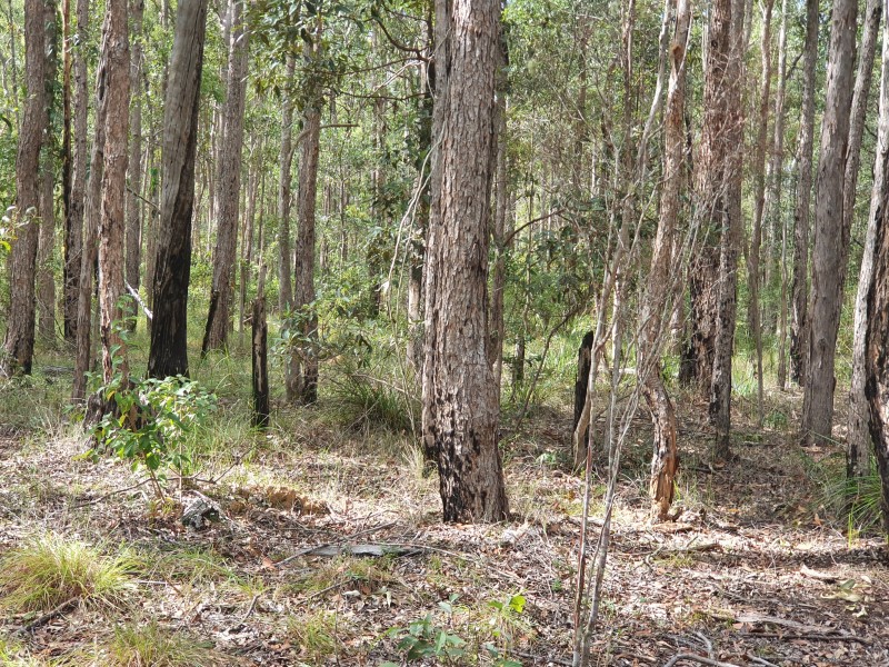 31 McLaughlan Road, Benarkin QLD 4306