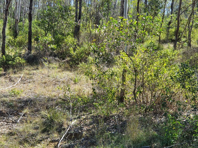 131 FRANKS ROAD, Blackbutt QLD 4306