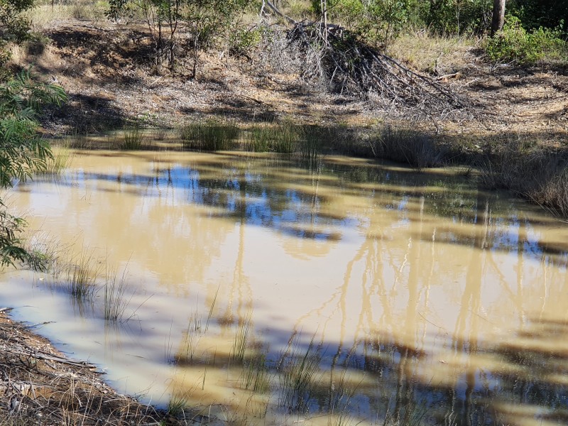 131 FRANKS ROAD, Blackbutt QLD 4306