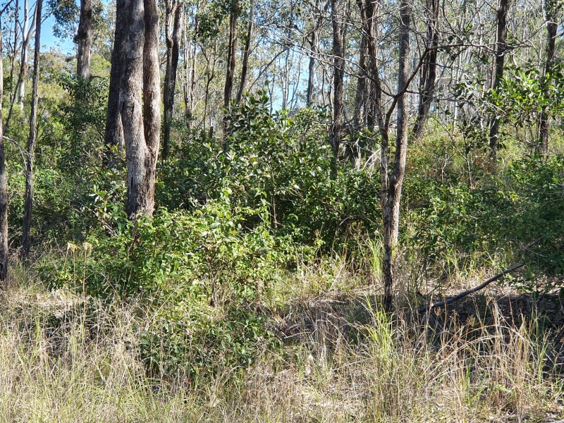 131 FRANKS ROAD, Blackbutt QLD 4306