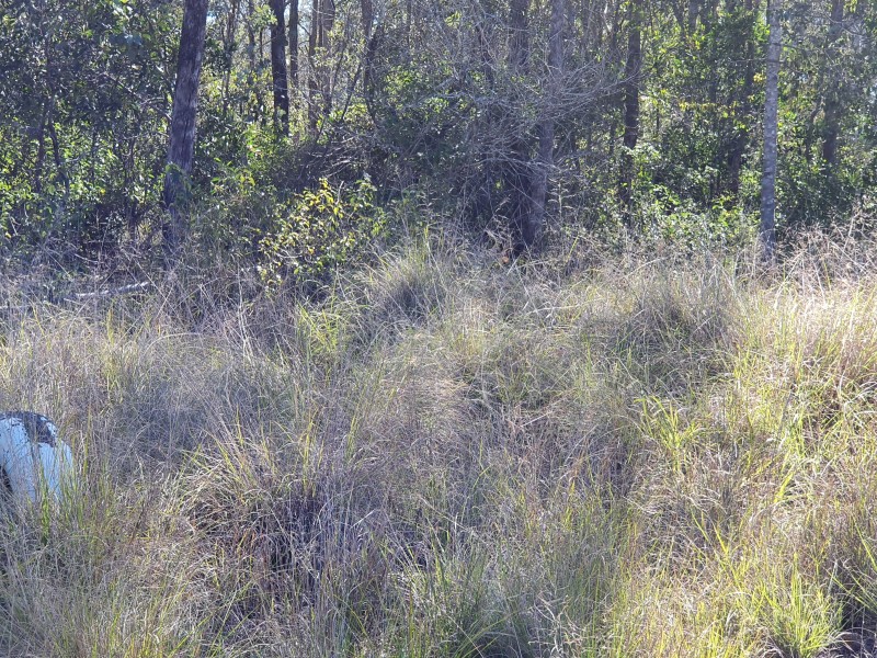 131 FRANKS ROAD, Blackbutt QLD 4306