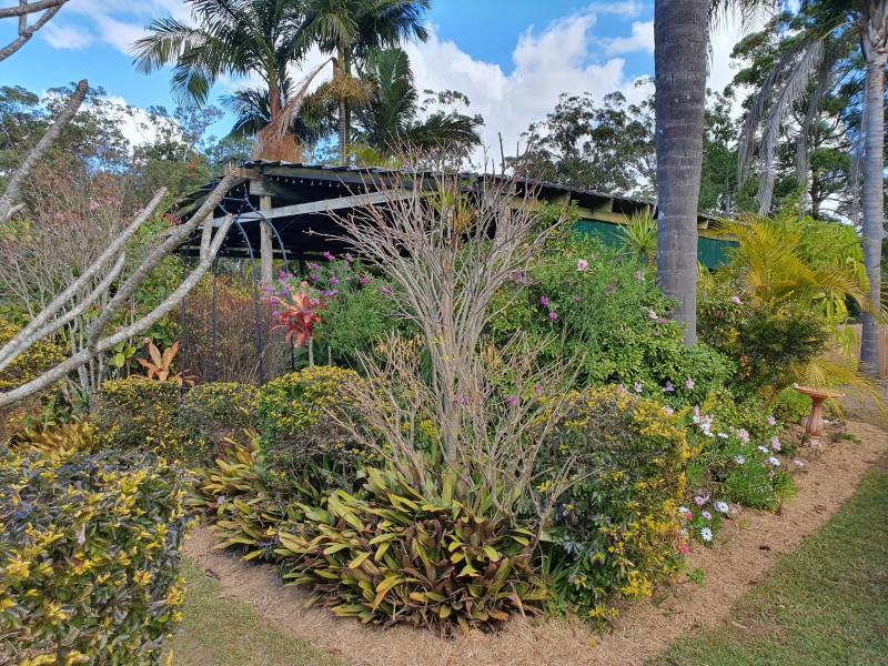 441 WILLIAMS ROAD, Benarkin QLD 4306