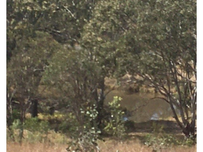 6 Emerson Rd, Blackbutt QLD 4306