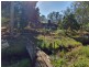 41 Enid Court, Blackbutt QLD 4306