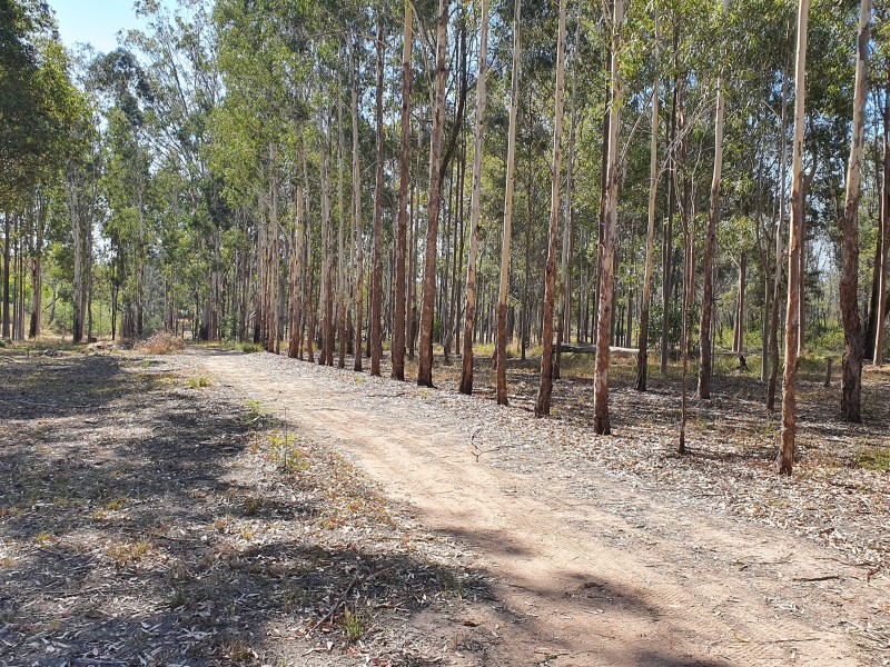 105 McLaughlan Road, Benarkin North QLD 4306