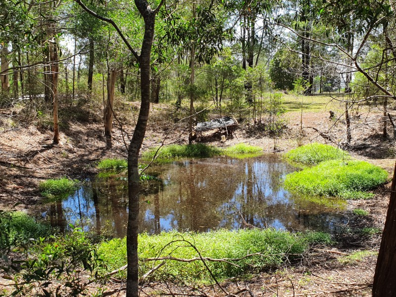 17 GRANTS ROAD, Benarkin QLD 4306