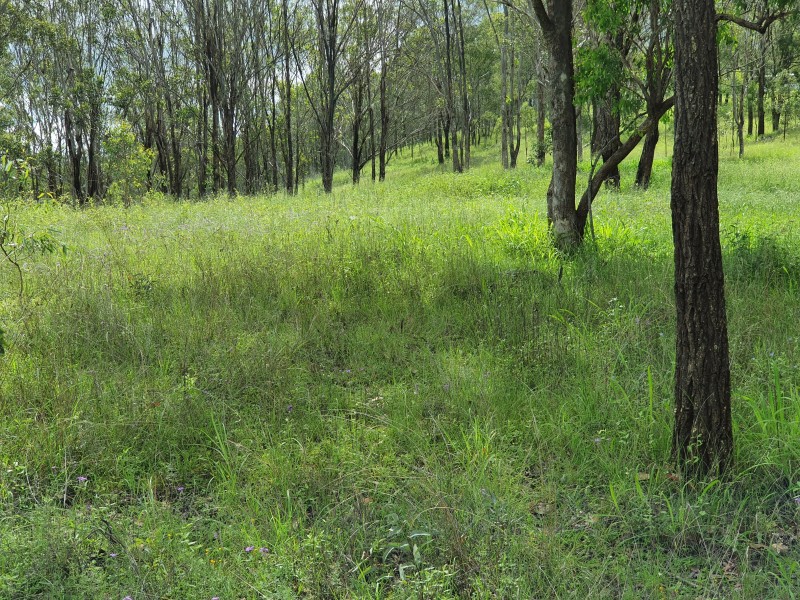 21 Palms Road, Cooyar QLD 4402