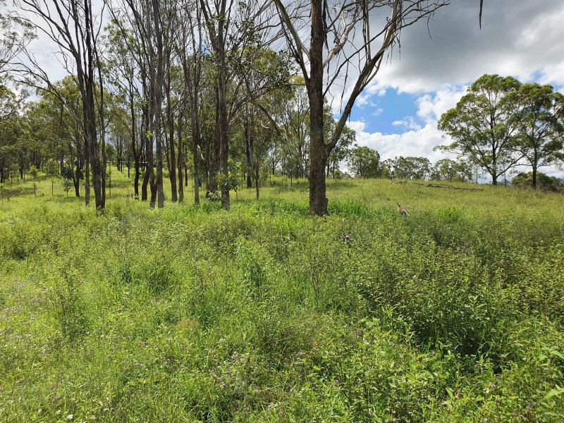 21 Palms Road, Cooyar QLD 4402