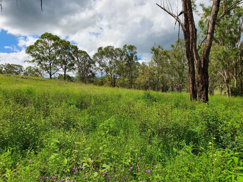 21 Palms Road, Cooyar QLD 4402