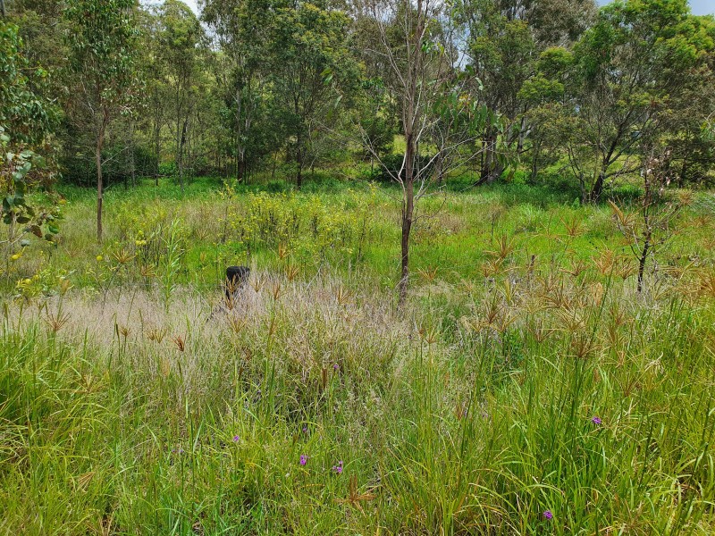 7 EMERSON ROAD, Blackbutt QLD 4306