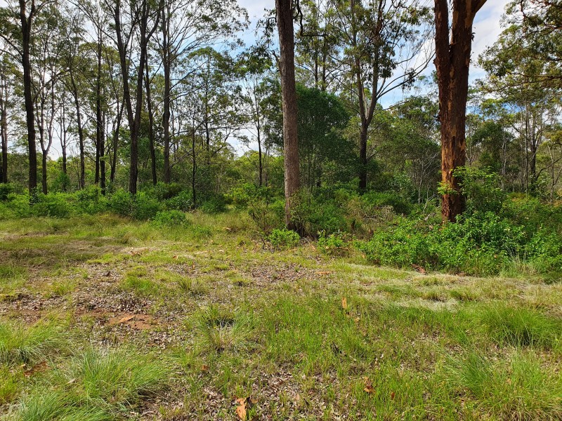 165 Crumpton Drive, Blackbutt North QLD 4306