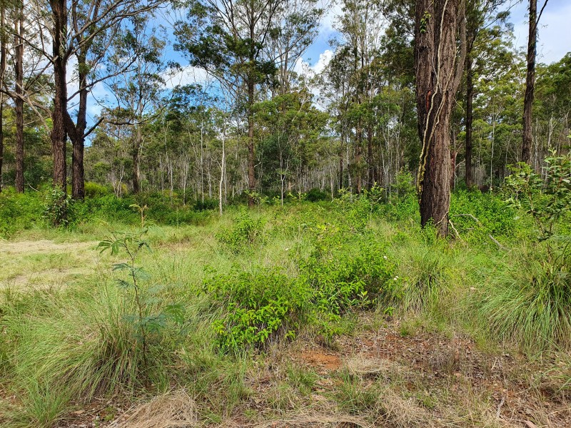 165 Crumpton Drive, Blackbutt North QLD 4306
