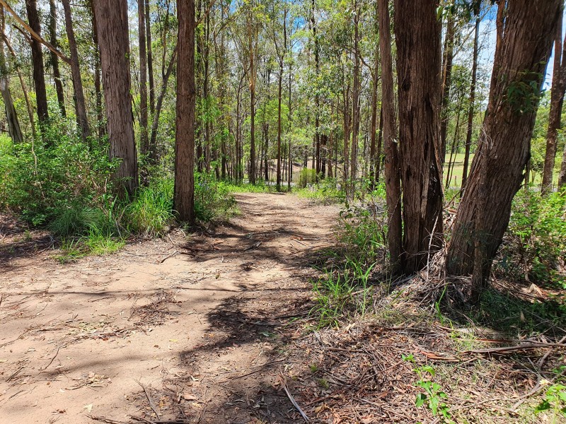 249 Martin Crescent, Benarkin QLD 4306