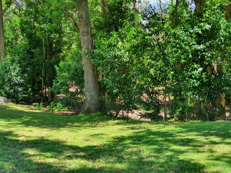 1 Allery Street, Blackbutt QLD 4306