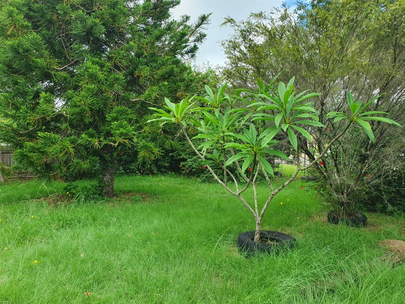 10 Miller Street, Blackbutt QLD 4306