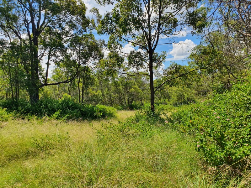51 Griffin Road, Blackbutt QLD 4306