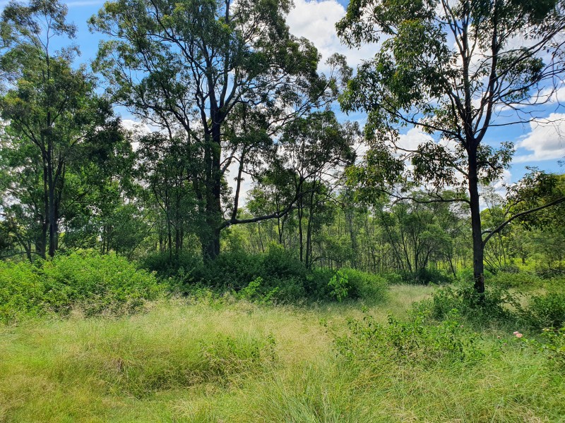 51 Griffin Road, Blackbutt QLD 4306