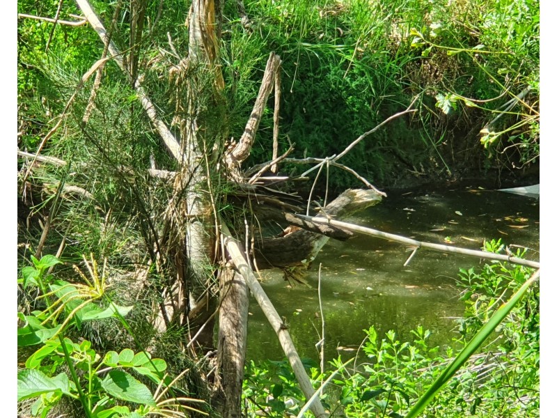 2 Millar Street, Yarraman QLD 4614