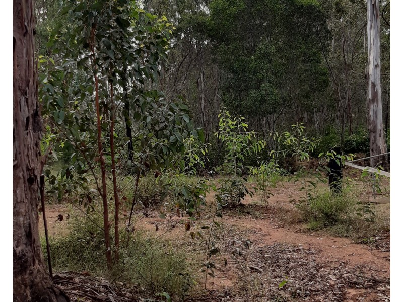 281 Dyer Road, Googa Creek QLD 4306