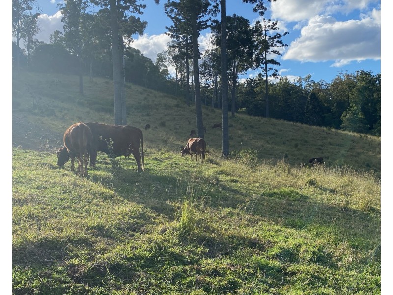 LOT 2 VALLEY ROAD, Blackbutt QLD 4306