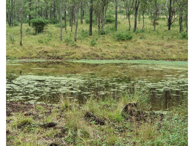 Pimpimbudgee QLD 4615