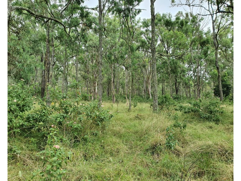 Pimpimbudgee QLD 4615