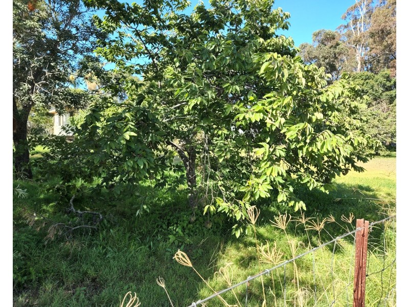 50 Fern Street, Blackbutt QLD 4306