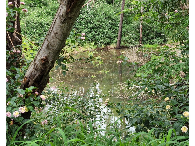 94 HARDGRAVE ROAD, Benarkin North QLD 4306