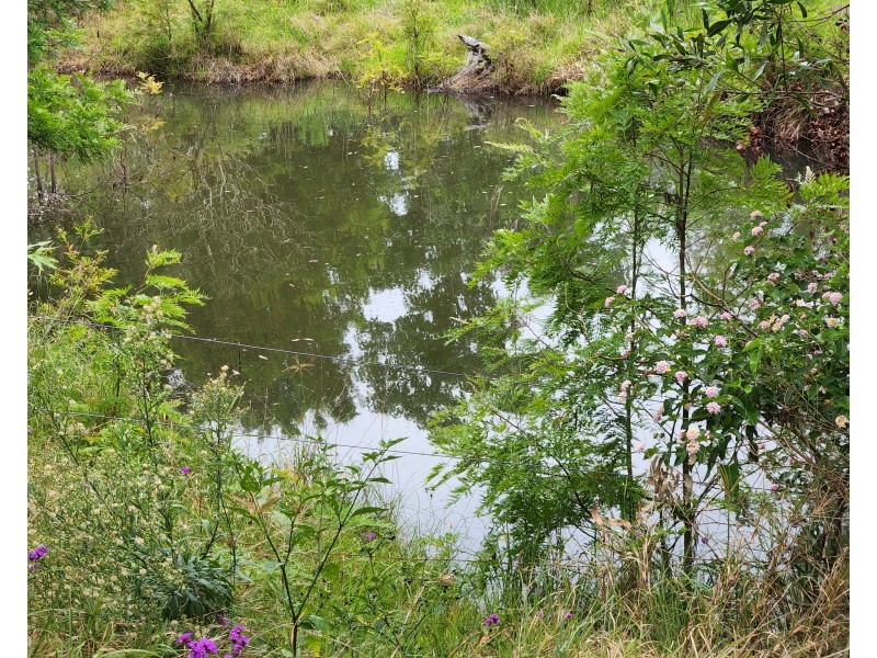 94 HARDGRAVE ROAD, Benarkin North QLD 4306