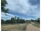 195 Wild Deer Drive, Blackbutt QLD 4306