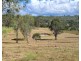 38 Emerson Road, Blackbutt QLD 4306