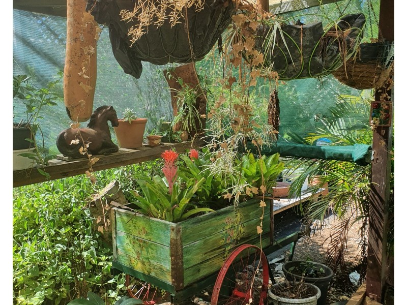 35 David Street, Linville QLD 4306