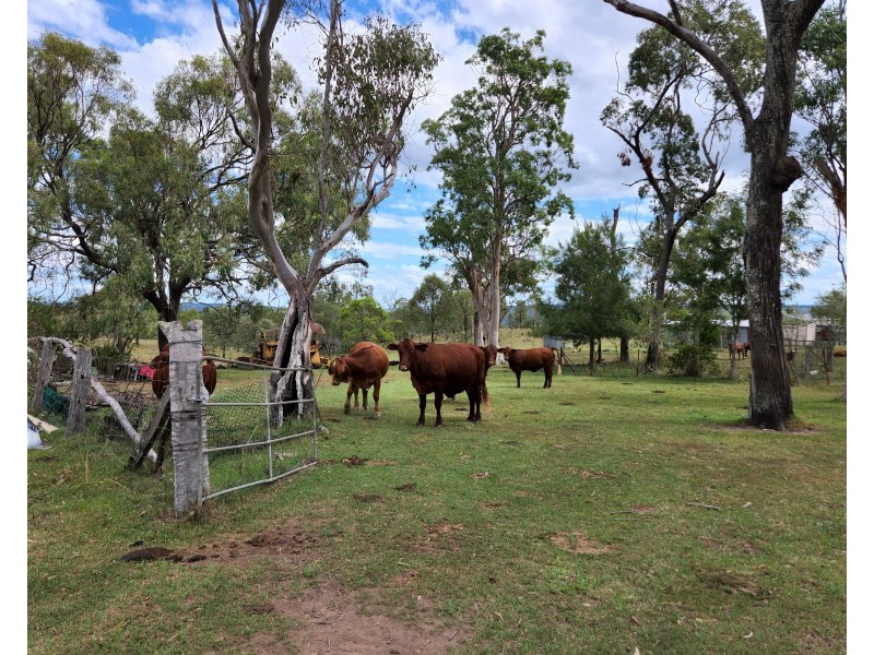 62 Wild Deer Drive, Blackbutt QLD 4306