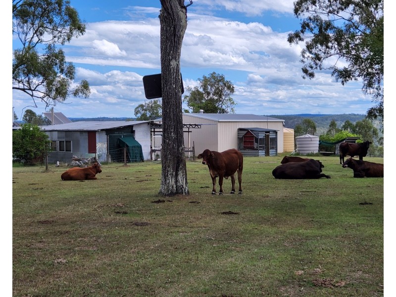 62 Wild Deer Drive, Blackbutt QLD 4306