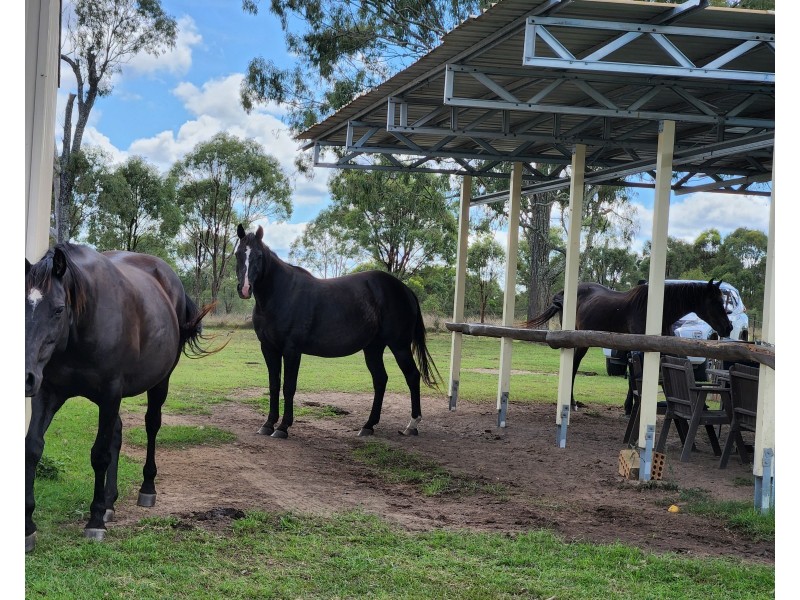 62 Wild Deer Drive, Blackbutt QLD 4306