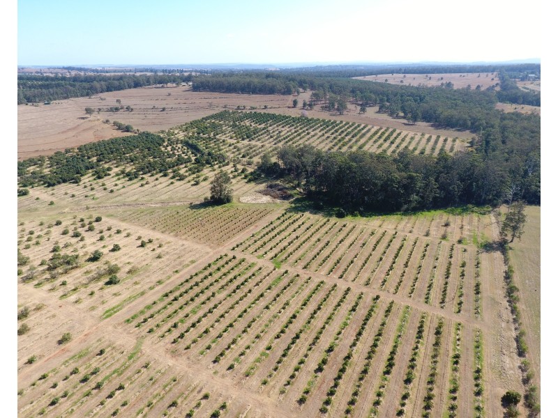 Blackbutt QLD 4306