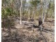 298 Bowman road, Blackbutt QLD 4306