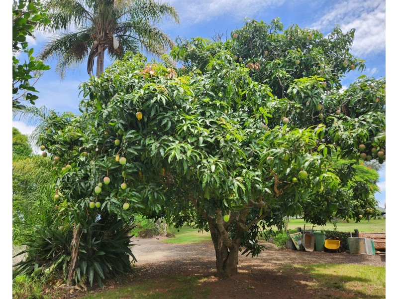 128 Greenhills Drive, Blackbutt QLD 4306