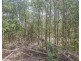 41 Devereaux Drive, Tarong QLD 4615