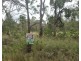 372 Maidenwell – Bunya Mountains Road, Maidenwell QLD 4615